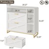 Lateral File Cabinet with 2 Drawers and Open Shelves, Wood Large Printer Stand, White - 2 of 4