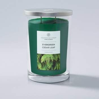 2-Wick 19oz Evergreen Cedar Leaf Jar Candle - Home Scents by Chesapeake Bay Candle
