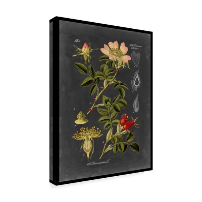 Trademark Fine Art -Vision Studio 'Midnight Botanical I' Canvas Art