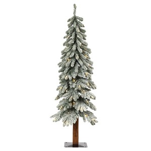 4ft Haute Decor Pre-Lit LED Lightly Flocked Alpine Artificial Christmas Tree White Lights - 1 of 3