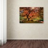 Trademark Fine Art -Moises Levy 'The Tree Horizontal' Canvas Art - 3 of 3