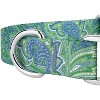 Country Brook Petz Premium Green Paisley Collar and Leash - image 4 of 4