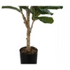 Artificial Plant, 47" Tall, Fiddle Tree, Indoor, Faux, Fake, Floor, Greenery, Potted, Real Touch, Decorative, Green Leaves, Black Pot - 3 of 4
