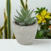 Unique Bargains Artificial Plants Flocked 5-Tier Aloe in Mini Pulp Plastic 1.97"x1.97"x3.94" 1 Pcs - 2 of 4