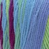 Red Heart Super Saver Yarn 12 Pack-Parrot Stripe - 3 of 3