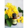 Plantlife Galbanum Aromatherapy Essential Oil – 100% Pure, Therapeutic Grade, No Additives or Fillers, 10 ml - 3 of 3