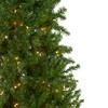 Northlight 7.5' Prelit Artificial Christmas Tree Canadian Pine Pencil - Clear Lights - image 3 of 4