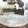 Beach House BHS181 Power Loomed Indoor/Outdoor Rugs - Safavieh - 2 of 4