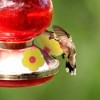 Unique Bargains Hummingbird Feeder Parts 20 Pcs - 2 of 4