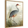Amanti Art Grey Heron by Aimee Wilson Framed Canvas Wall Art - 3 of 4