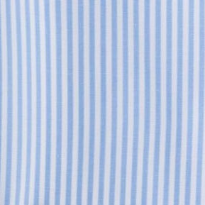 light blue bengal stripe