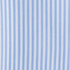 light blue bengal stripe