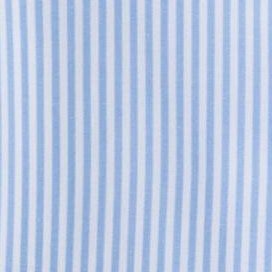 light blue bengal stripe