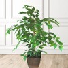 LCG Florals 38" x 24" Artificial Ficus Tree in Metal Container: Polyester Faux Foliage, Indoor Decor, No Assembly Required - 3 of 4