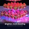 Hachikiko 5 - Tier Acrylic Cupcake Stand with LED String Light, Premium Cupcake Holder Tower for Weddings, Birthday Parties Decor - 2 of 4