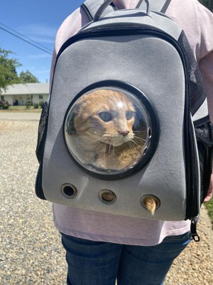 target cat backpack