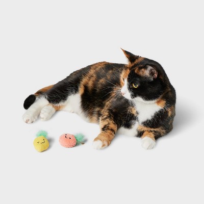 Target pet supplies cat sale