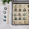 30-Grid Earring Organizer Tray with Clear Lid and Anti-Tarnish Protection - 2 of 4