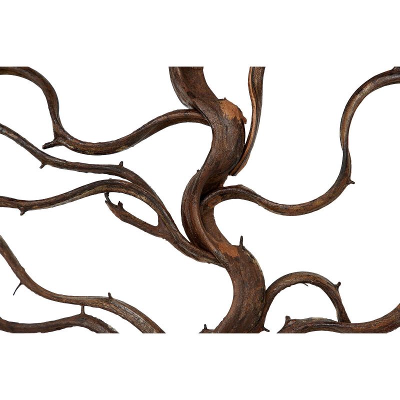 Wood Tree Branch Wall Decor with Black Frame Brown - Olivia & May, 3 of 22