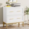 LITTLE TREE Modern Lateral File Cabinet with 2 Drawer for Home Office White/Gold - 2 of 4