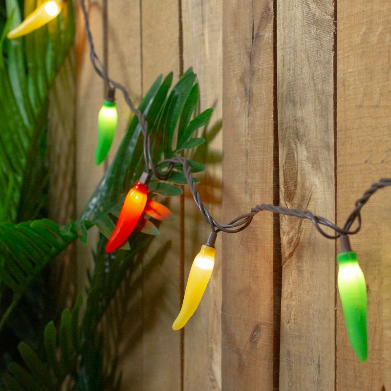 Northlight 35-Count Vibrantly Colored Chili Pepper String Light Set, 22.5' Brown Wire, 2 of 5