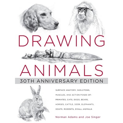 Drawing Animals - by  Norman Adams & Joe Singer (Paperback)