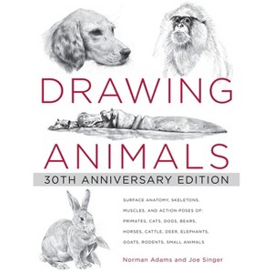 Drawing Animals - by  Norman Adams & Joe Singer (Paperback) - 1 of 1