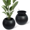 Dia Round Self-Watering Planter (10" Pot Opening) with Drainage & Water Monitor - 3 of 4