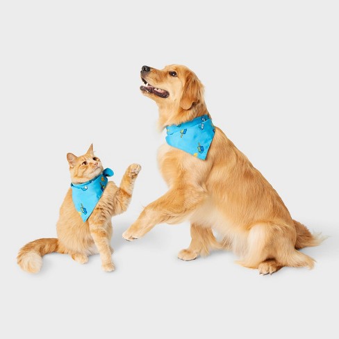 Stars are Bright Dog Bandana