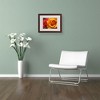 Trademark Fine Art -Monica Fleet 'Ideal Balance' Matted Framed Art - 3 of 4