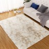 Fluffy Shaggy Rug: Tie-Dyed Furry Non-Shedding Plush Rug – Fuzzy Accent Carpet for Living Room, Bedroom | Soft Feet-Friendly Home Decor Floor Cover - 2 of 4