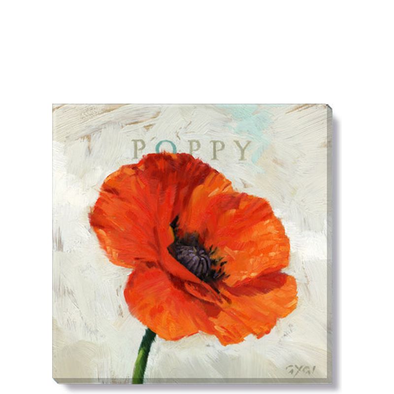 Sullivans Darren Gygi Poppy Canvas, Museum Quality Giclee Print, Gallery Wrapped, Handcrafted in USA, 1 of 11