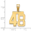 Black Bow Jewelry 14k Yellow Gold, Athletic Collection Medium Polished Number 48 Pendant - 2 of 3