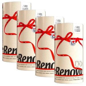 Renova Colored Paper Towel Roll – 2 Ply, 120 Sheets, Compact Design - 1 of 4