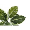 Syemin Artificial Plant Evergreen Tree Indoor Faux Fake Floor Greenery Potted Decorative Green Leaves Black Pot, Green, 35"*31"*42" - 4 of 4