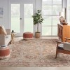 Nourison Petra Oramental Indoor Rug - 4 of 4
