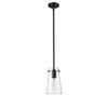 Kira 1-Light Pendant - Modern Steel Design with Clear Glass Shade, Dimmable, 60W - 2 of 4