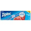 Ziploc Freezer Gallon Bags With Grip 'n Seal Technology - 60ct : Target
