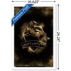 Trends International Harry Potter - Hufflepuff Crest Magic Framed Wall Poster Prints - 3 of 4