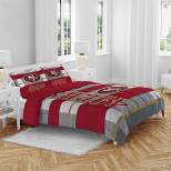 NFL San Francisco 49ers Heathered Stripe Queen Bed in a Bag - 3pc