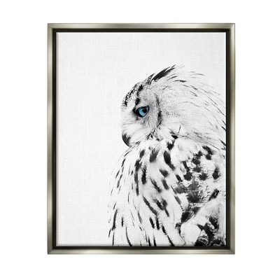 Stupell Industries Snow Owl White Feathers Peering Blue Eyes
