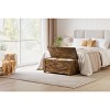 Lift-Top Toy Storage Bench with Safety Hinge, Modern Wooden Chest for Entryway Bedroom Living Room - 4 of 4