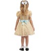HalloweenCostumes.com Toddler Goldilocks Costume for Girls - 4 of 4