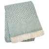 HomeRoots 55" X 70" Sage Cotton Blend Woven Plush Throw Blanket with Fringe - 4 of 4