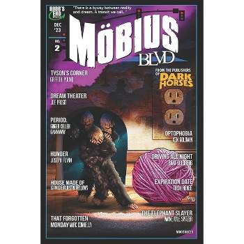 Mobius Blvd - (Mobius Blvd: Stories from the Byway Between Reality and Dream) by  Brad Goldberg & Trish Renee & Justin Fellows (Paperback)