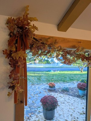 Guest review image 2 of 2, zoom in