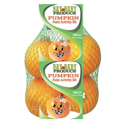 Pumpkin Patch Pals Pumpkin Paint Activity Kit - 4ct