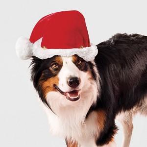 Santa Hat Dog and Cat Headpiece Costume - Boots & Barkley™ Red - 1 of 4