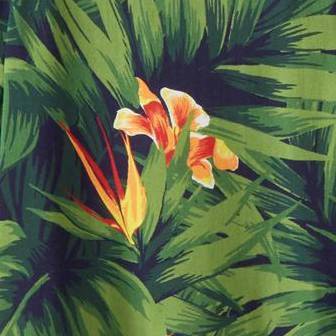 tropical floral
