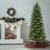 7 1/2' Wallace Pine Hinged Tree with Warm White C6 LED Lights - 2 of 4